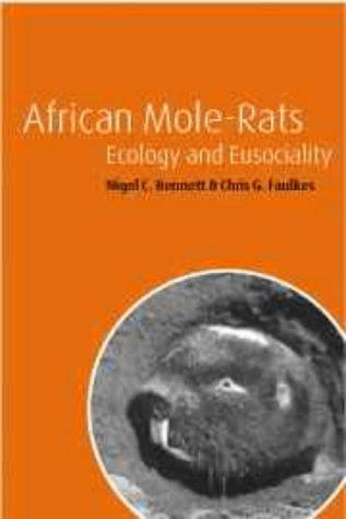African Mole-Rats