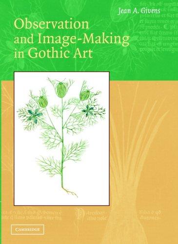 Observation and Image-Making in Gothic Art