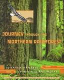 Journey through the northern rainforest