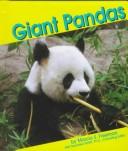 Giant pandas