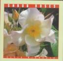 Shrub roses
