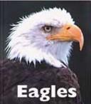 Eagles