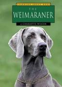 The weimaraner