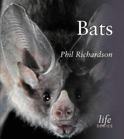 Bats (Life)