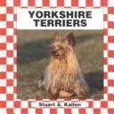 Yorkshire terriers