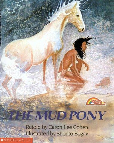 The Mud Pony