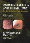 Esophagus and pharynx