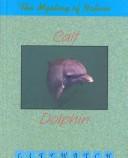Calf to dolphin