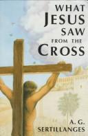 What Jesus saw from the cross