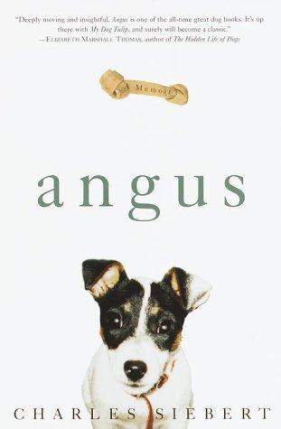 Angus