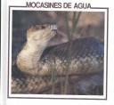 Cottonmouths
