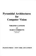 Pyramidal architectures for computer vision
