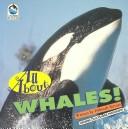 All about whales!