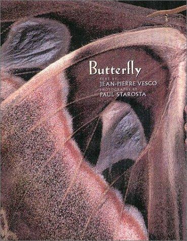 Butterflies and moths