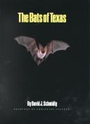 The bats of Texas