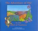 The adventure of Paz in the Land of Numbers