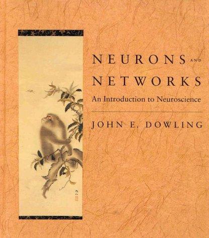 Neurons and networks