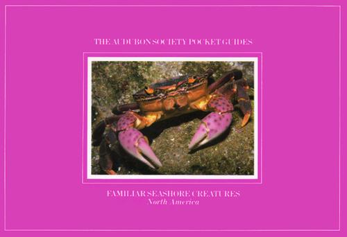 National Audubon Society Pocket Guide to Familiar Seashore Creatures (Audubon Society Pocketguides)