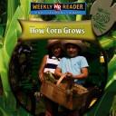 How corn grows