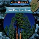 How pine trees grow