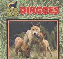 Dingoes