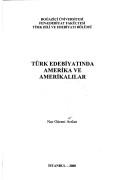 Türk edebiyatında Amerika ve Amerikalılar