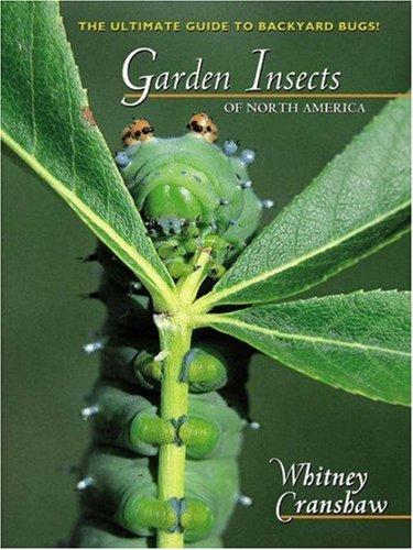 Garden Insects of North America