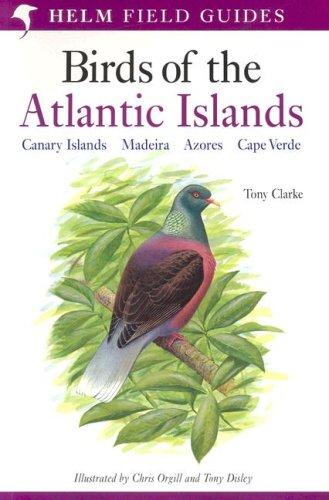 Field Guide to the Birds of the Atlantic Islands (Helm Field Guides)
