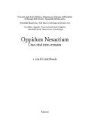 Oppidum Nesactium