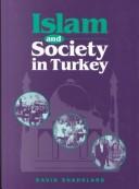 Islam and society in Turkey
