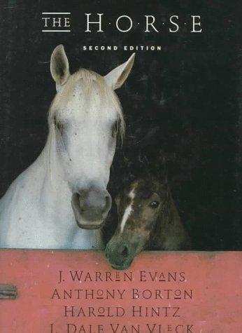 The Horse