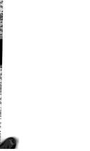 Foreign operations, export financing, and related programs appropriations for 1993