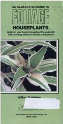 An illustrated guide to foliage houseplants