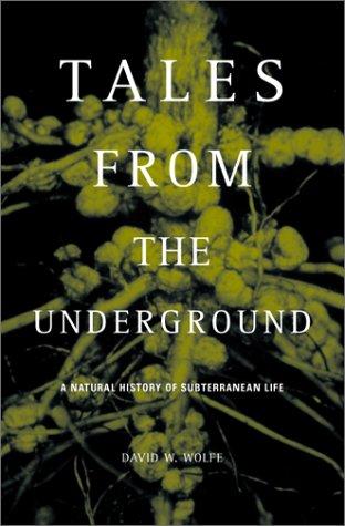 Tales from the Underground