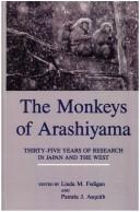 The Monkeys of Arashiyama