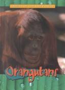 Orangutans (Animals of the Rain Forest)