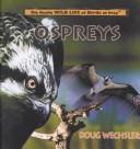 Ospreys (Wechsler, Doug. Really Wild Life of Birds of Prey.)