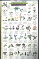 Mac's Field Guides to Denali National Park (Flowers and Trees/Birds and Mammals)