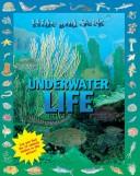 Hide and Seek - Underwater Life (Hide and Seek)