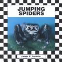 Jumping Spider (Spiders)