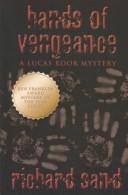 Hands of Vengeance (Lucas Rook Mystery)