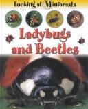 Ladybugs and Beetles (Morgan, Sally. Looking at Minibeasts.)