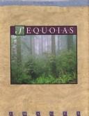 Sequoias (Images)