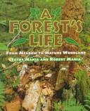 A forest's life