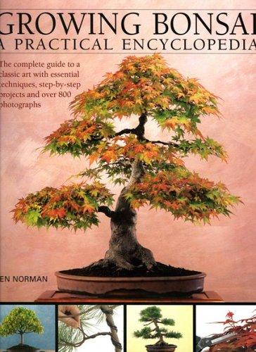 Growing bonsai