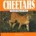 Cheetahs