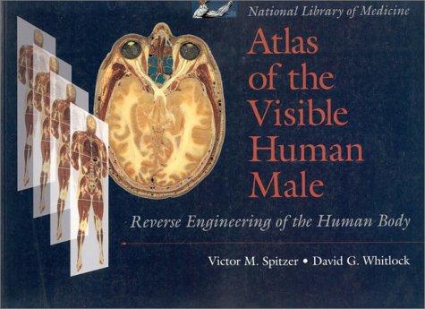 Atlas of the visible human male