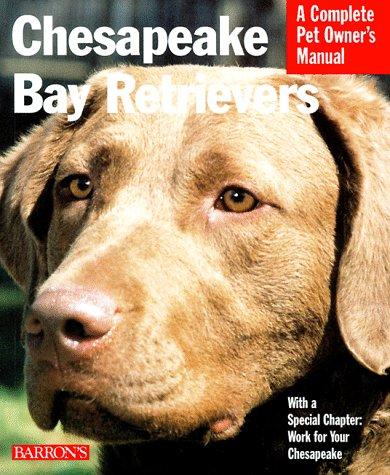 Chesapeake Bay retrievers