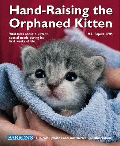Hand-raising the orphaned kitten