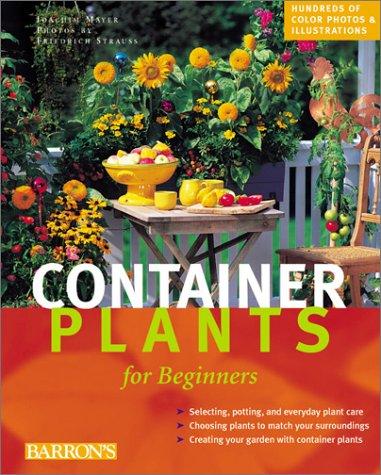 Container Plants for Beginners